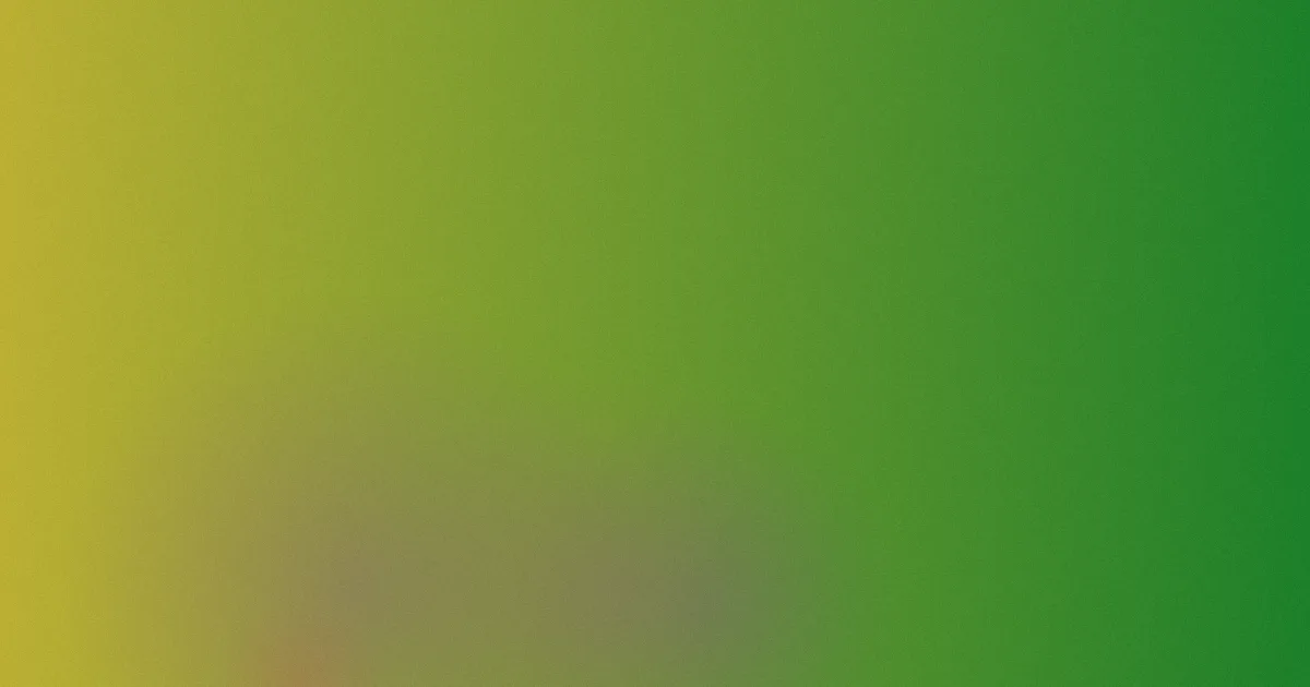 创造营2019测评避坑问答